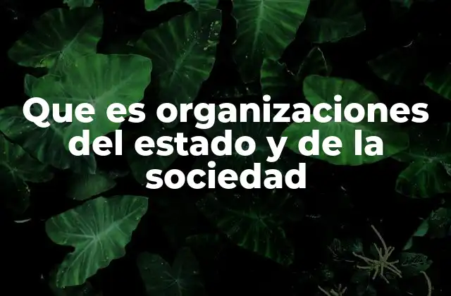 Que es Organizaciones Del Estado y de la Sociedad