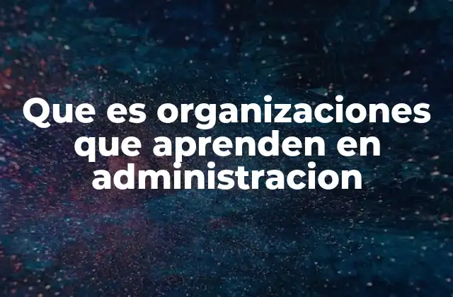 La importancia del aprendizaje organizacional en la evolución empresarial