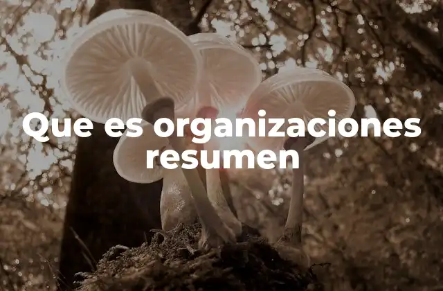 Que es Organizaciones Resumen