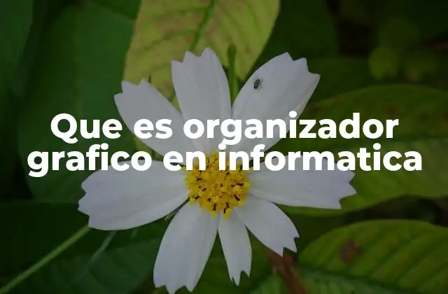 Que es Organizador Grafico en Informatica 2 La importancia de los organizadores gráficos en la informática