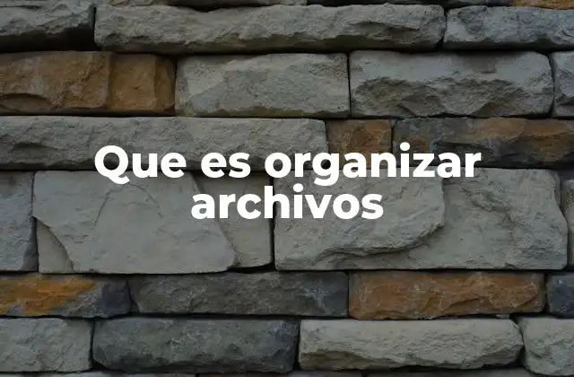 Que es Organizar Archivos