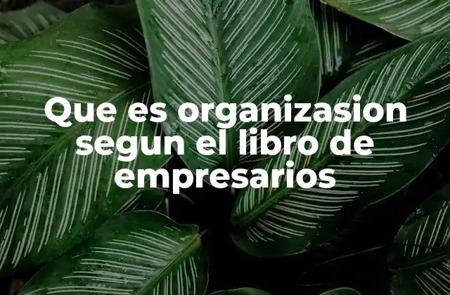 Que es Organizasion Segun el Libro de Empresarios