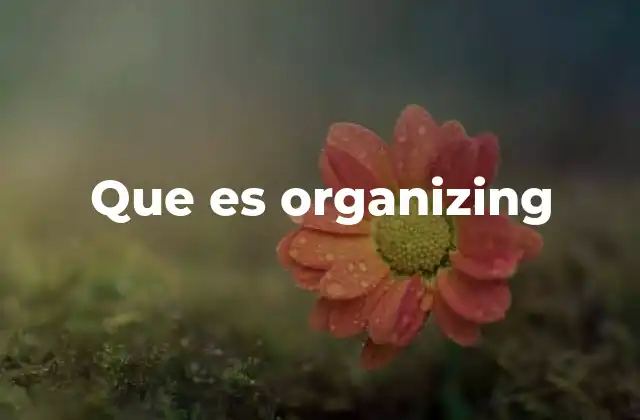 Que es Organizing 2 La importancia de estructurar procesos y recursos