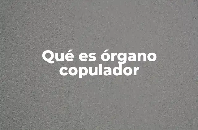 Qué es Órgano Copulador
