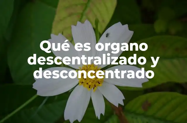Qué es Organo Descentralizado y Desconcentrado