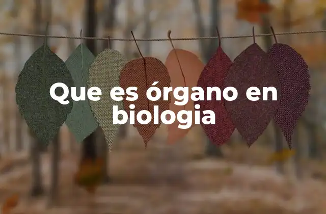 Estructura y clasificación de los órganos