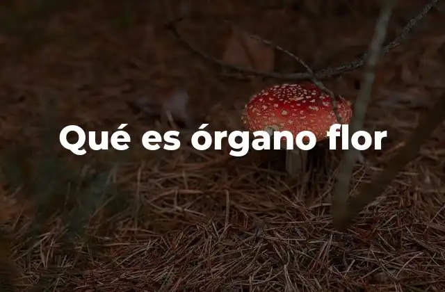Qué es Órgano Flor