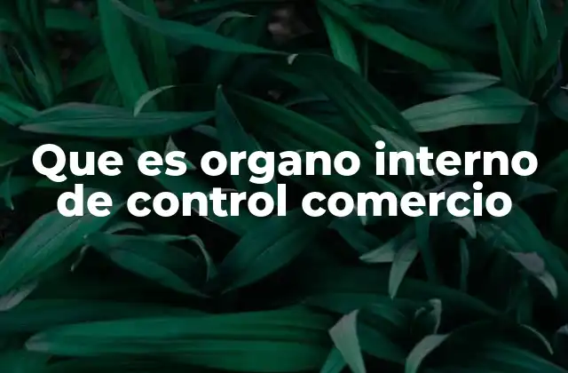 Que es Organo Interno de Control Comercio