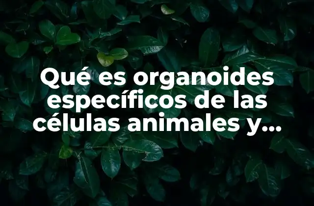 Qué es Organoides Específicos de las Células Animales y Vegetales
