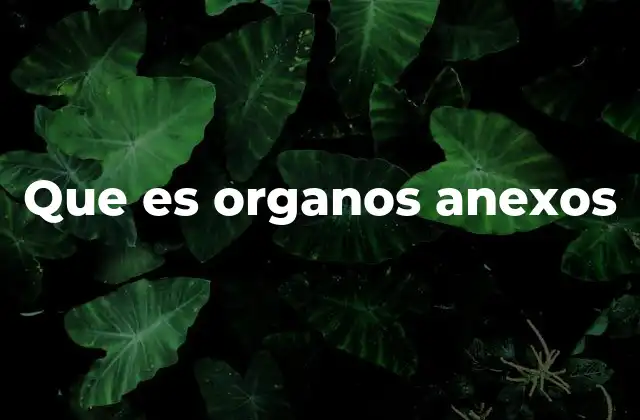Que es Organos Anexos