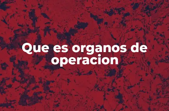 La relación entre órganos de gobierno y órganos de operación
