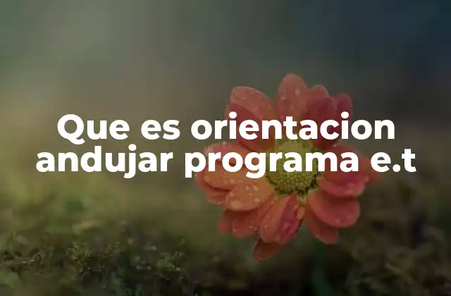 Que es Orientacion Andujar Programa E.t