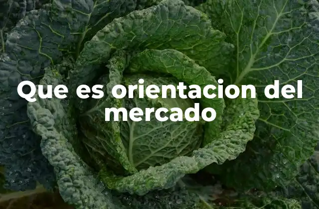 Que es Orientacion Del Mercado