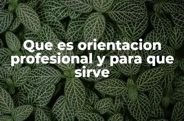Que es Orientacion Profesional y para que Sirve