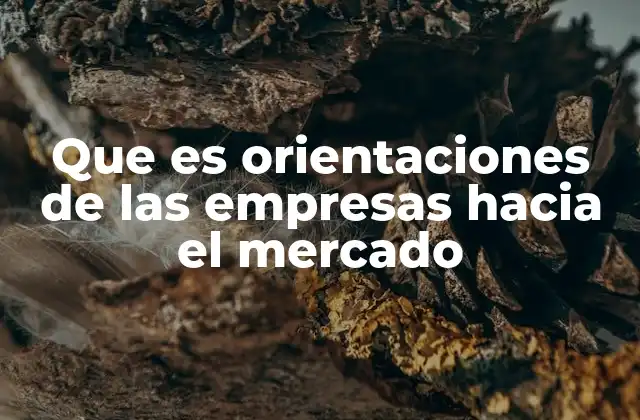 Que es Orientaciones de las Empresas hacia el Mercado