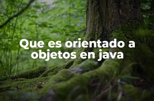 Cómo Java modela el mundo real mediante objetos