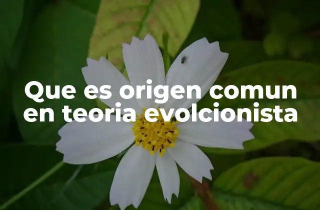 Que es Origen Comun en Teoria Evolcionista
