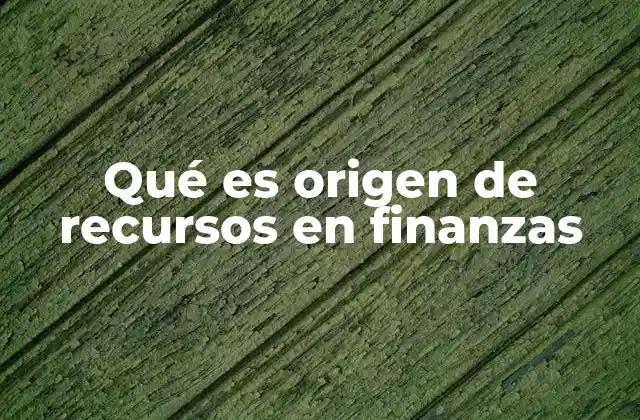 Qué es Origen de Recursos en Finanzas
