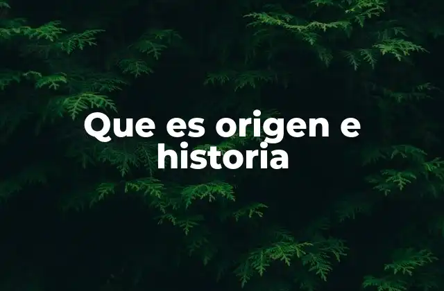 Que es Origen e Historia 2 El viaje a través del tiempo