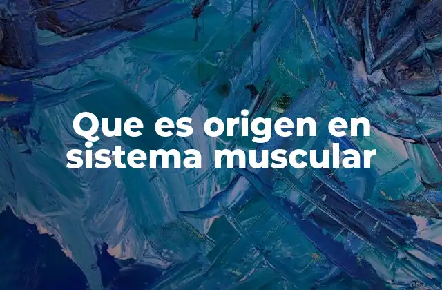 Que es Origen en Sistema Muscular