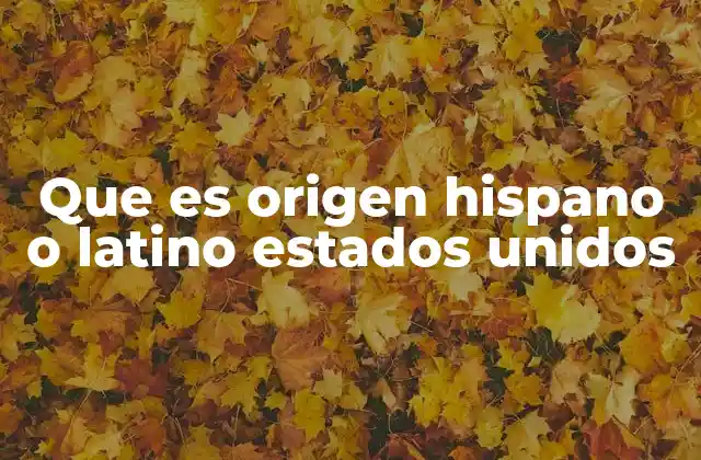 Que es Origen Hispano o Latino Estados Unidos
