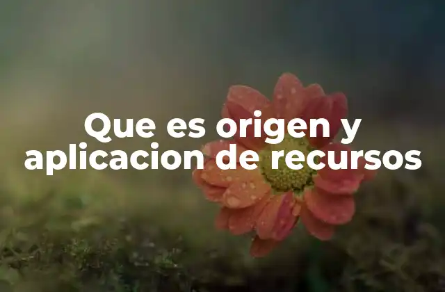 Que es Origen y Aplicacion de Recursos