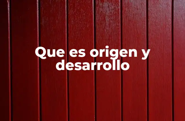 Que es Origen y Desarrollo