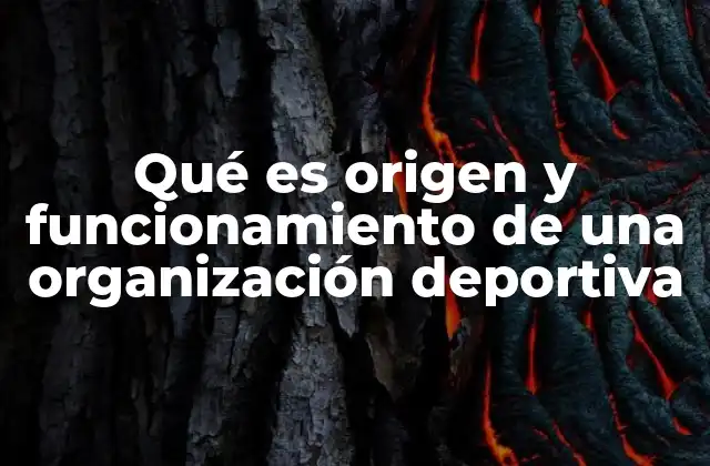 Qué es Origen y Funcionamiento de una Organización Deportiva