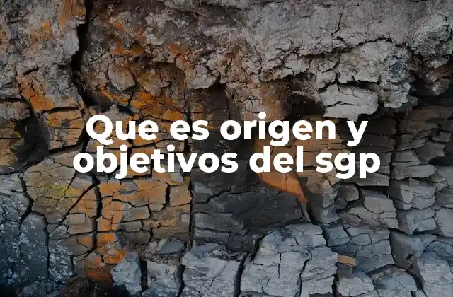 Que es Origen y Objetivos Del Sgp 2 El SGP como eje central del sistema fiscal colombiano