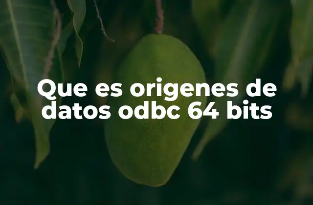 Que es Origenes de Datos Odbc 64 Bits