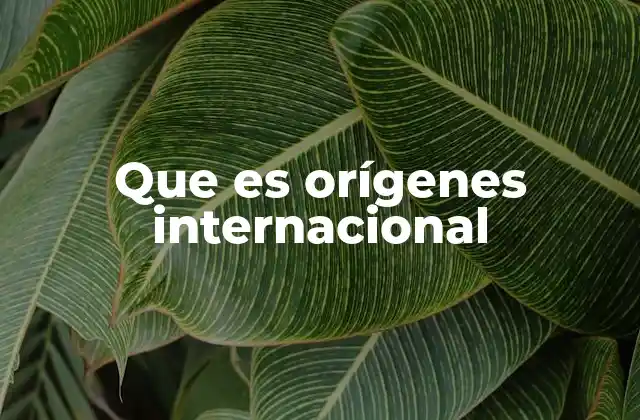 Que es Orígenes Internacional