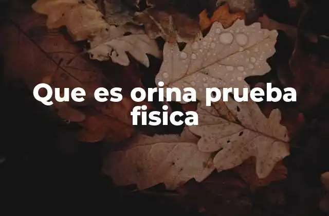 Que es Orina Prueba Fisica