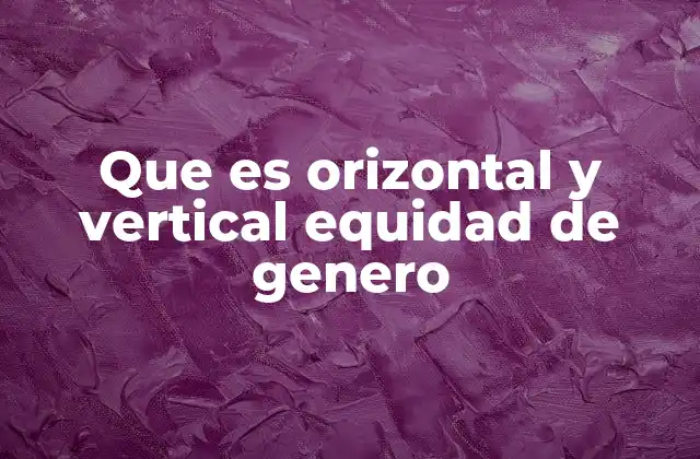 Que es Orizontal y Vertical Equidad de Genero