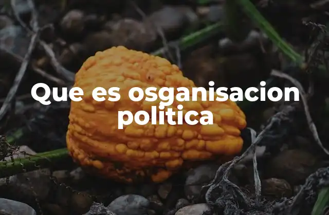 Que es Osganisacion Politica