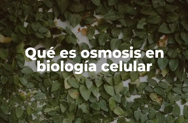 Qué es Osmosis en Biología Celular