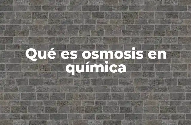 Qué es Osmosis en Química