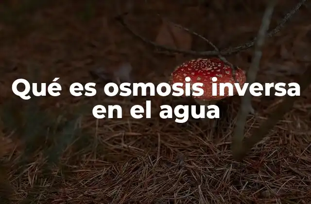 Qué es Osmosis Inversa en el Agua