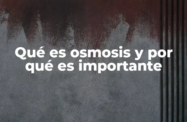 Qué es Osmosis y por Qué es Importante