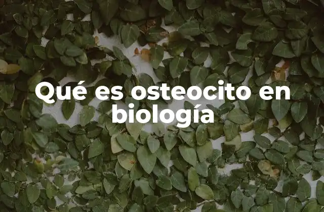 El papel del osteocito en la dinámica del tejido óseo
