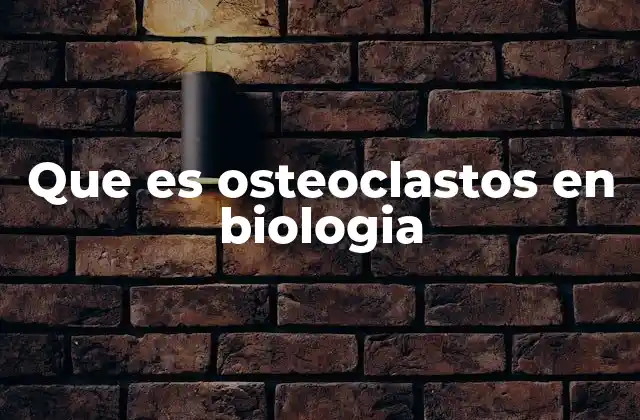 Que es Osteoclastos en Biologia