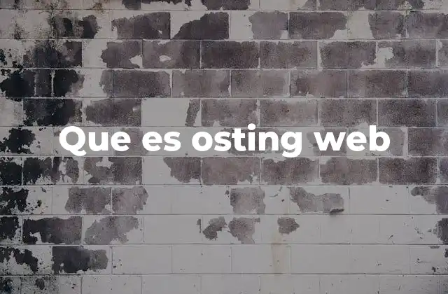 Que es Osting Web