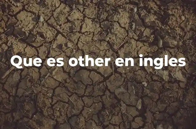 Que es Other en Ingles