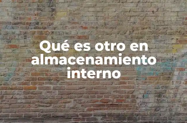 Qué es Otro en Almacenamiento Interno