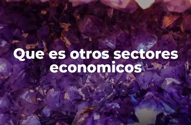 Que es Otros Sectores Economicos