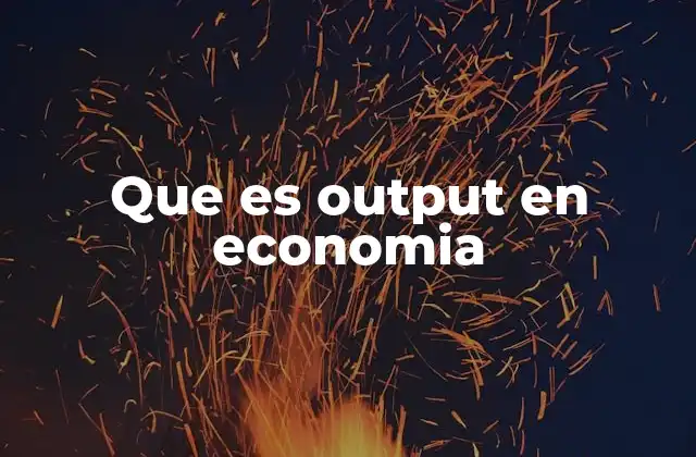 Que es Output en Economia