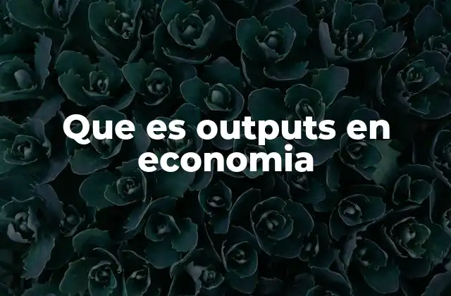Que es Outputs en Economia
