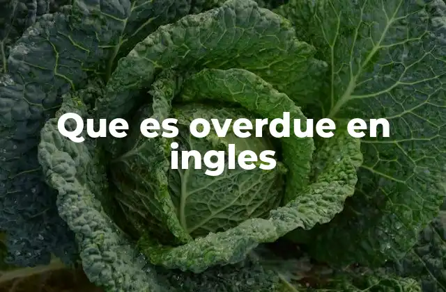 Que es Overdue en Ingles