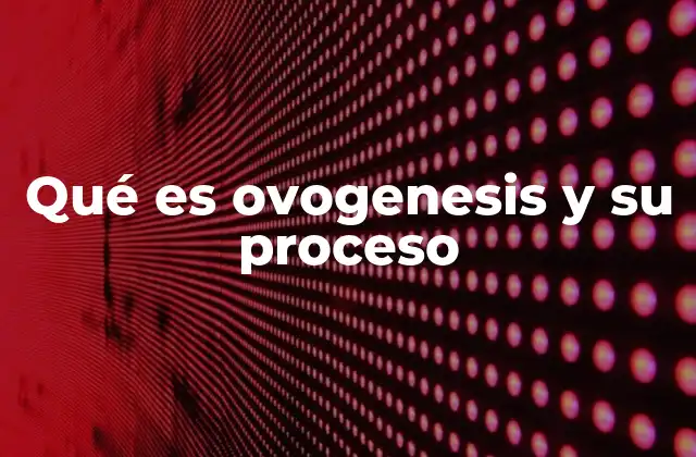 Qué es Ovogenesis y Su Proceso