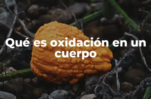 Qué es Oxidación en un Cuerpo