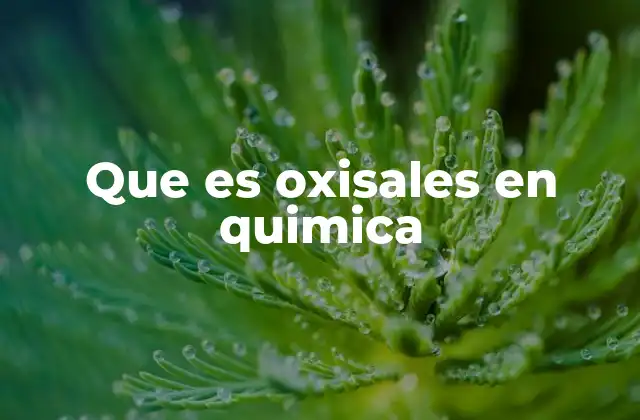 Compuestos derivados de ácidos oxácidos